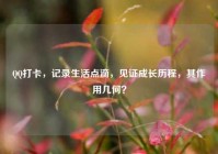 QQ打卡，记录生活点滴，见证成长历程，其作用几何？