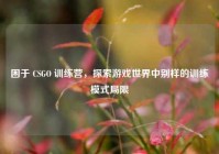 困于 CSGO 训练营，探索游戏世界中别样的训练模式局限
