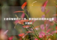 王者荣耀里的十三爷，展现别样游戏风采及相关图片