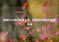 探秘PUBG国际服爆头声，独特音效背后的游戏体验