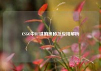 CSGO中RF键的奥秘及应用解析