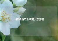 CF喷漆使用全攻略，手游篇