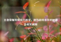 王者荣耀发明技巧教学，提升游戏水平的秘籍及相关视频