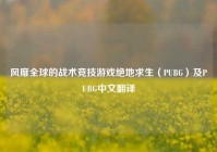 风靡全球的战术竞技游戏绝地求生（PUBG）及PUBG中文翻译