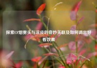 探索CF烟雾头与凉皮的奇妙关联及如何调出好看效果