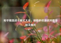 和平精英战斗模式大全，领略多样激战风情及相关图片