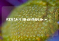 探索融合时尚与性能的便携电脑VAIO Tap 11