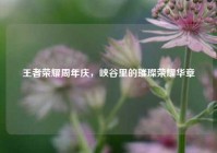 王者荣耀周年庆，峡谷里的璀璨荣耀华章
