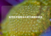 探寻和平精英中大熊大熊熊的踪迹