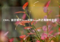 CSGO，能否替代Steam及除Steam外还有哪些平台
