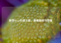 探寻Steam白金之路，最难挑战与荣耀