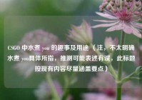 CSGO 中水煮 you 的趣事及用途 （注，不太明确水煮 you具体所指，推测可能表述有误，此标题按现有内容尽量涵盖要点）