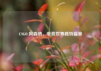 CSGO 阿森纳，电竞世界独特篇章