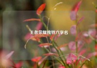 王者荣耀独特六字名