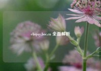 ebspay.boc.cn 全面解析