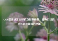CSGO宽频设置全解析及帧率调节，提升游戏视觉与竞技体验的秘籍