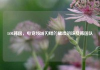 LOL韩国，电竞领域闪耀的璀璨明珠及韩国队