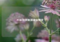 PUBG如何取消键位绑定