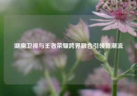 湖南卫视与王者荣耀跨界融合引领新潮流