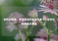 英特尔傲腾，存储领域的革新力量——英特尔傲腾固态硬盘