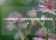 CSGO残局角色，决定胜负的关键因素及残局含义