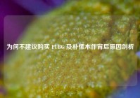 为何不建议购买 PUBG 及朴愫木作背后原因剖析