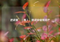 逆战夏櫆（槐），挑战中绽放光芒