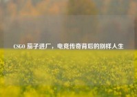 CSGO 茄子进厂，电竞传奇背后的别样人生