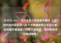 小兴与 CSGO，独特电竞之旅及相关事件 （注，因所给内容包含一些不太明确逻辑关系的元素，此标题尽量涵盖了所有关键信息，你可根据实际需求调整）