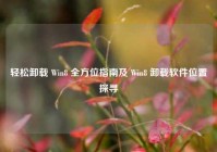 轻松卸载 Win8 全方位指南及 Win8 卸载软件位置探寻