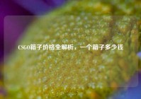CSGO箱子价格全解析，一个箱子多少钱