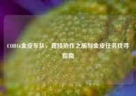 COD16金皮车队，竞技协作之旅与金皮任务找寻指南