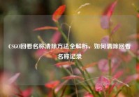 CSGO回看名称清除方法全解析，如何清除回看名称记录