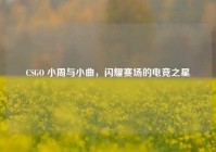 CSGO 小周与小曲，闪耀赛场的电竞之星