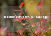 解决键盘数字键失灵困扰，按什么键可恢复