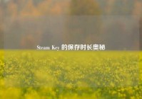 Steam Key 的保存时长奥秘