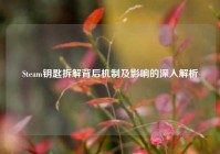 Steam钥匙拆解背后机制及影响的深入解析