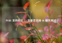 PUBG 支持杜比 7.1 及是否支持 4K 相关探讨