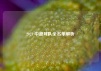 2021 中超球队全名单解析