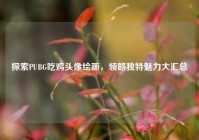 探索PUBG吃鸡头像绘画，领略独特魅力大汇总