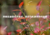 阿根廷最新经济现状，挑战与机遇并存的剖析