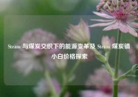 Steam 与煤炭交织下的能源变革及 Steam 煤炭镇小白价格探索