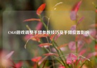 CSGO游戏调整手臂参数技巧及手臂位置影响