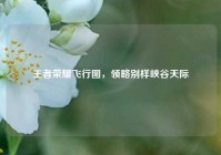 王者荣耀飞行图，领略别样峡谷天际