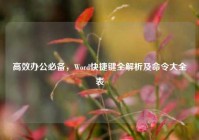 高效办公必备，Word快捷键全解析及命令大全表