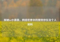 探秘lol小薇薇，网络世界中的独特存在及个人资料