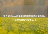 深入解析Steam档案编辑及如何查看档案名称，开启游戏世界个性化之门