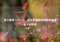 深入解析 CONN.ASP，连达梦数据库的数据库连接关键桥梁