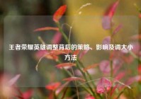 王者荣耀英雄调整背后的策略、影响及调大小方法