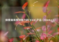 探索具有独特魅力的 W303R 产品（W303Rv3）